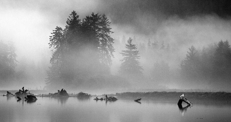 Entering the Estuary.jpg